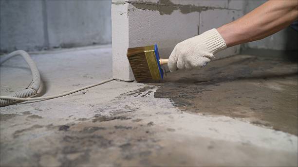 SJ Waterproofing Pros Sump Pump Installation coverage map for Holgate, OH and surrounding area